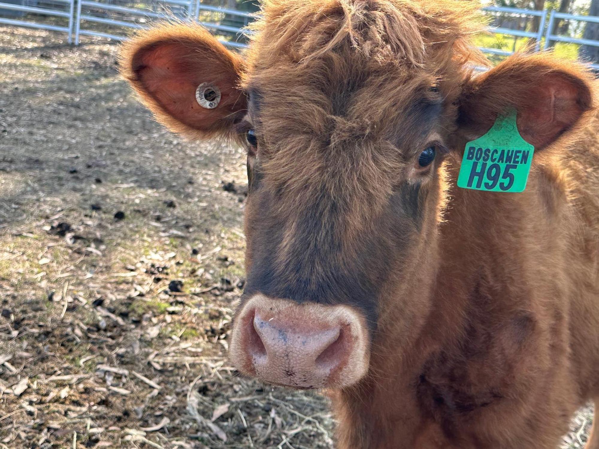 Farm Stay, Mariton Farm Farm stay