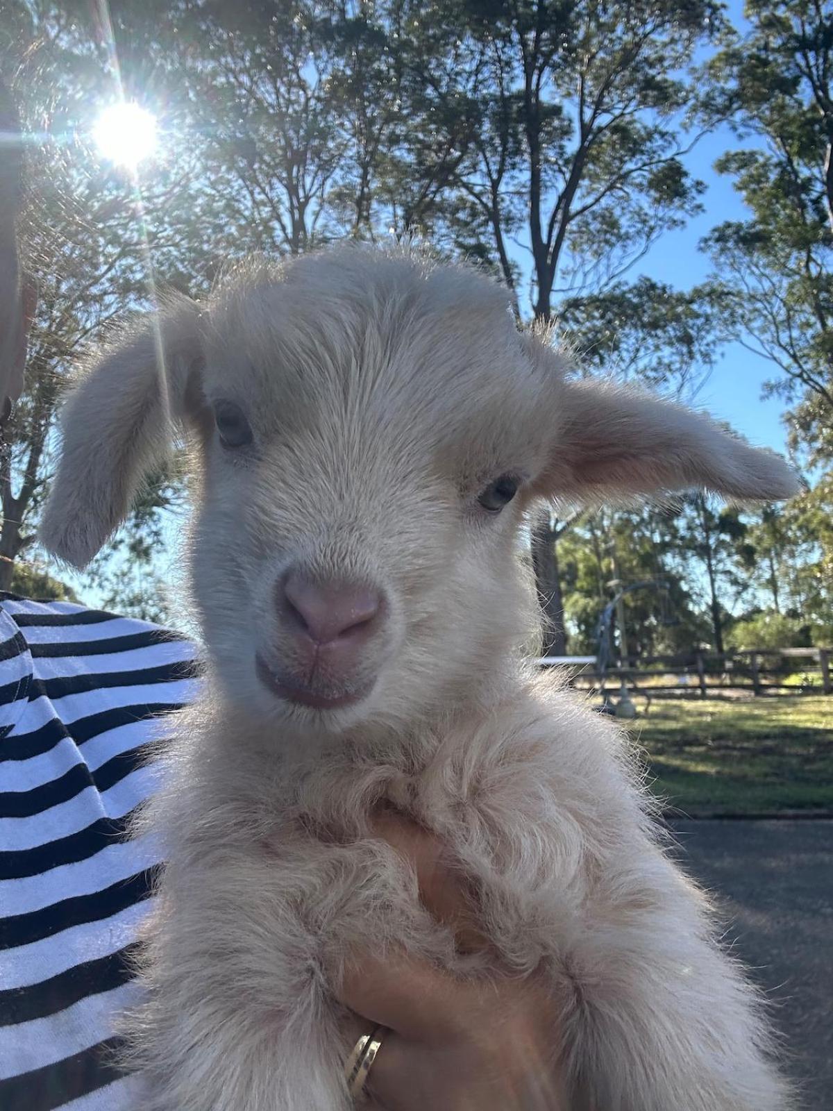 Farm Stay, Mariton Farm *