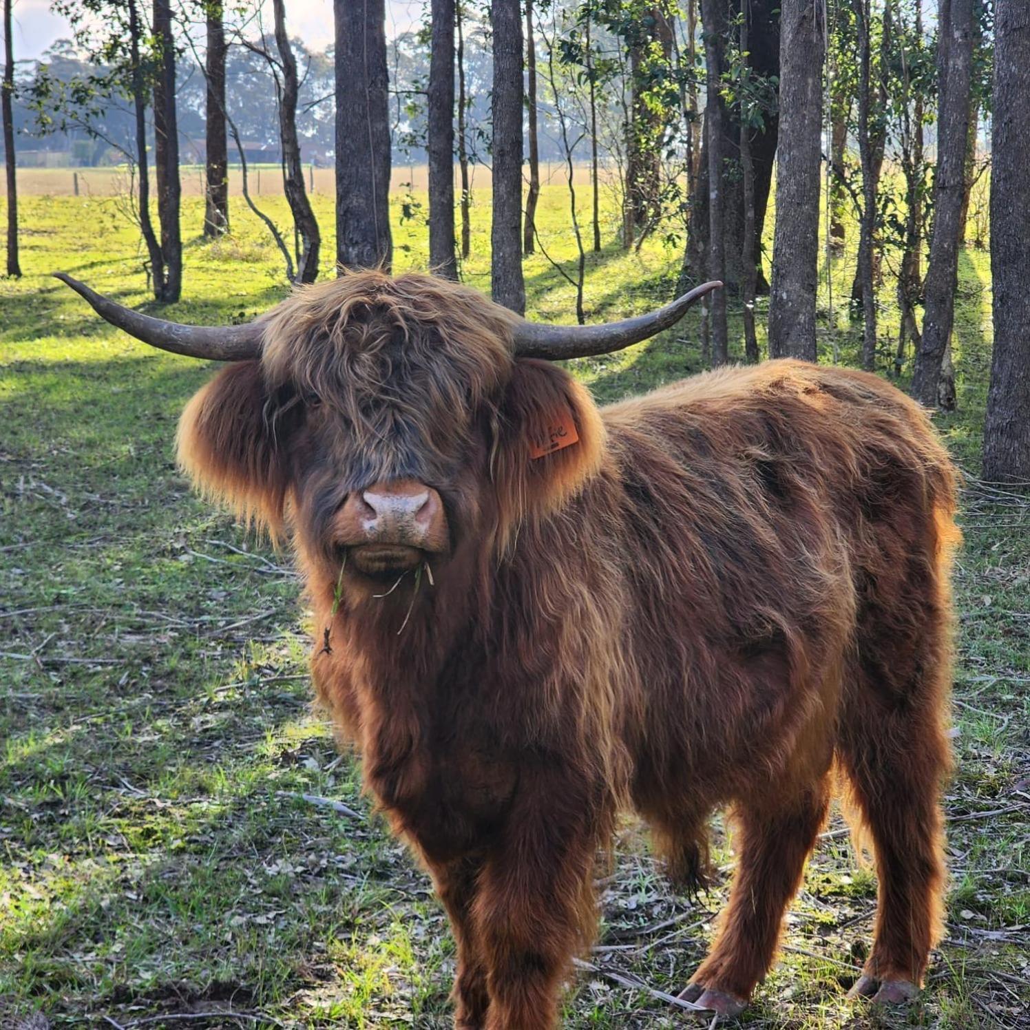 Farm stay Farm Stay, Mariton Farm *